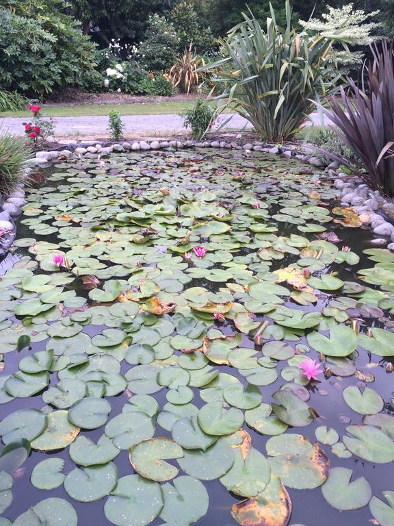 Water Lily Garden Christchurch Exterior foto