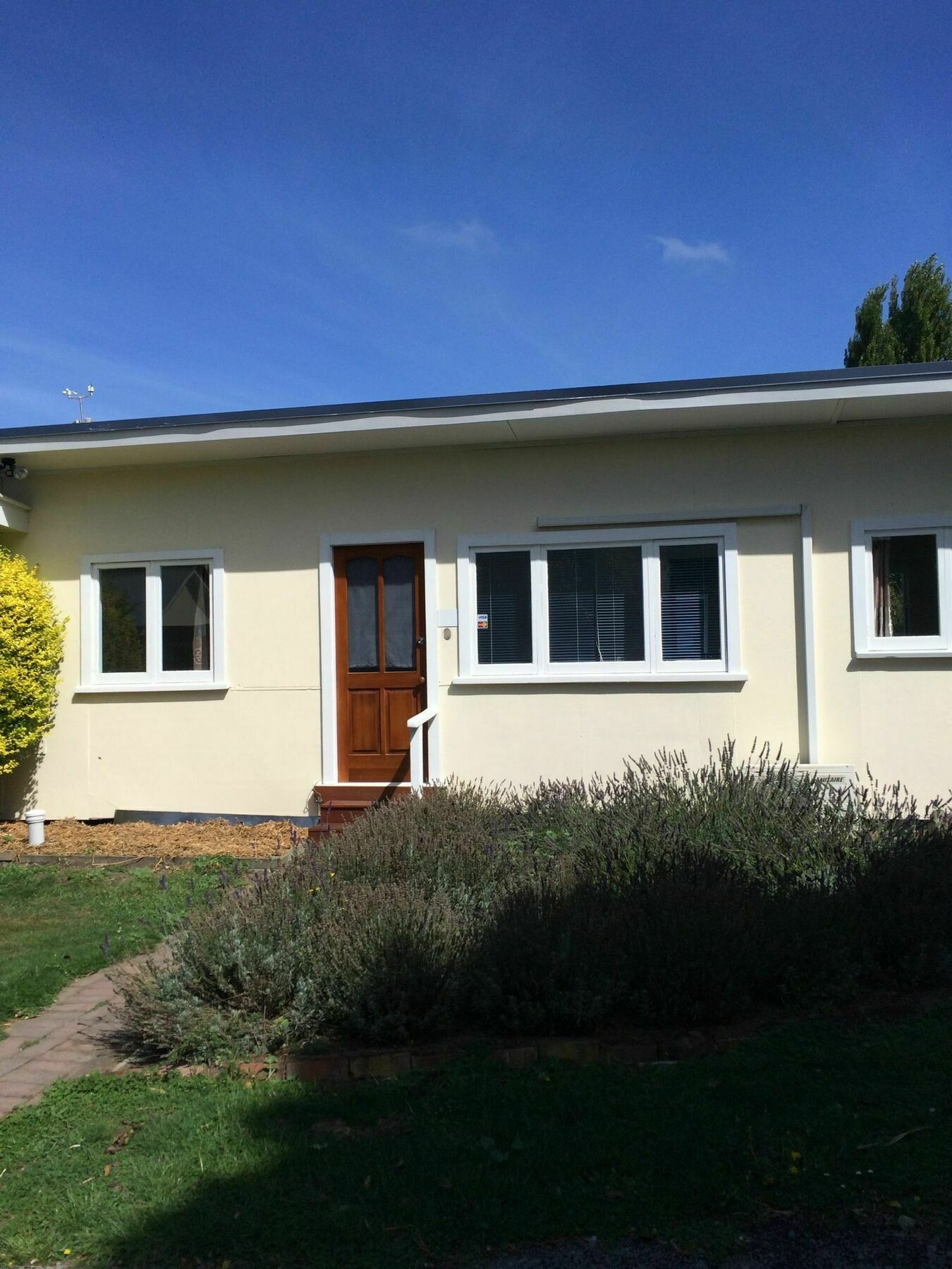 Water Lily Garden Christchurch Exterior foto
